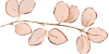 Blush_branch-02 Blush_branch-02